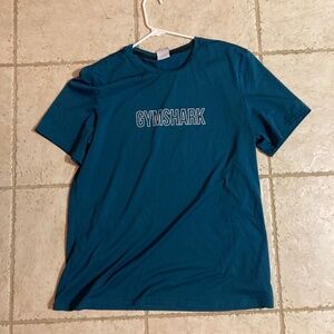 Teal Men's Gymshark Arrival Graphic Short Sleeve Tee T Shirt Size XXL